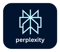 Perplexity